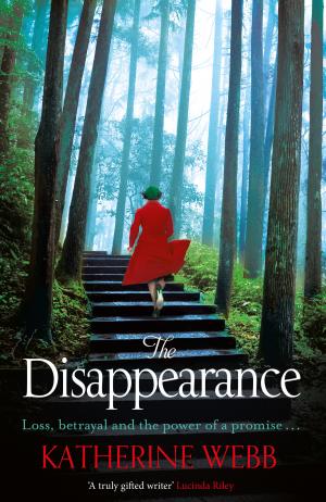 The Disappearance