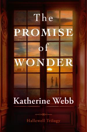 The Promise of Wonder