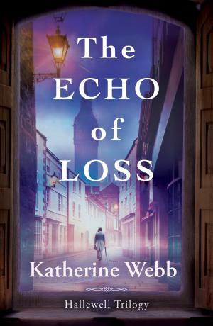 The Echo of Loss