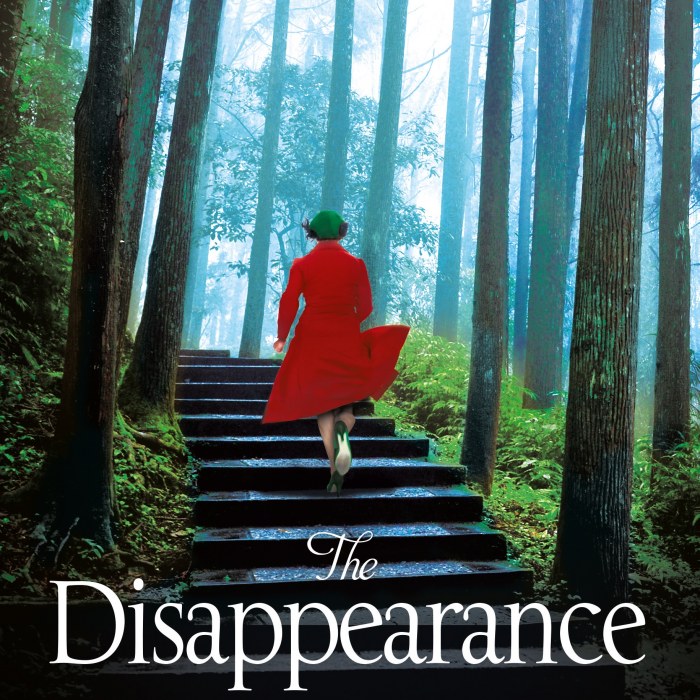 The Disappearance - Coffee, Books and Paris Blog Review