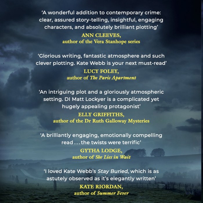 STAY BURIED - out now in Hardback, audio and eBook!